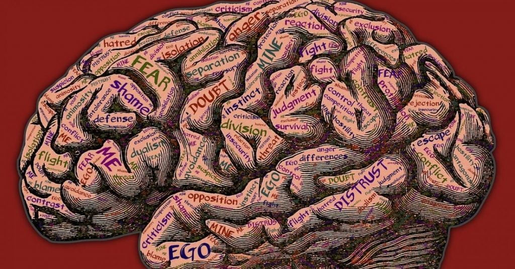 The parts of the brain. The ego is visible as it is an important part of the mind. The ego is created in the mind and exists within the brain
