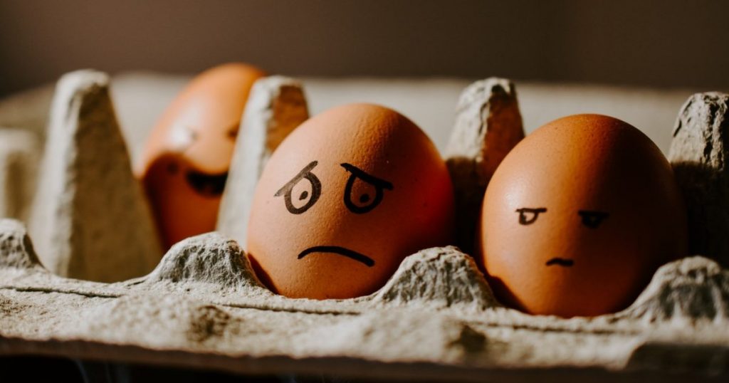 A confused egg- feel lost in life?